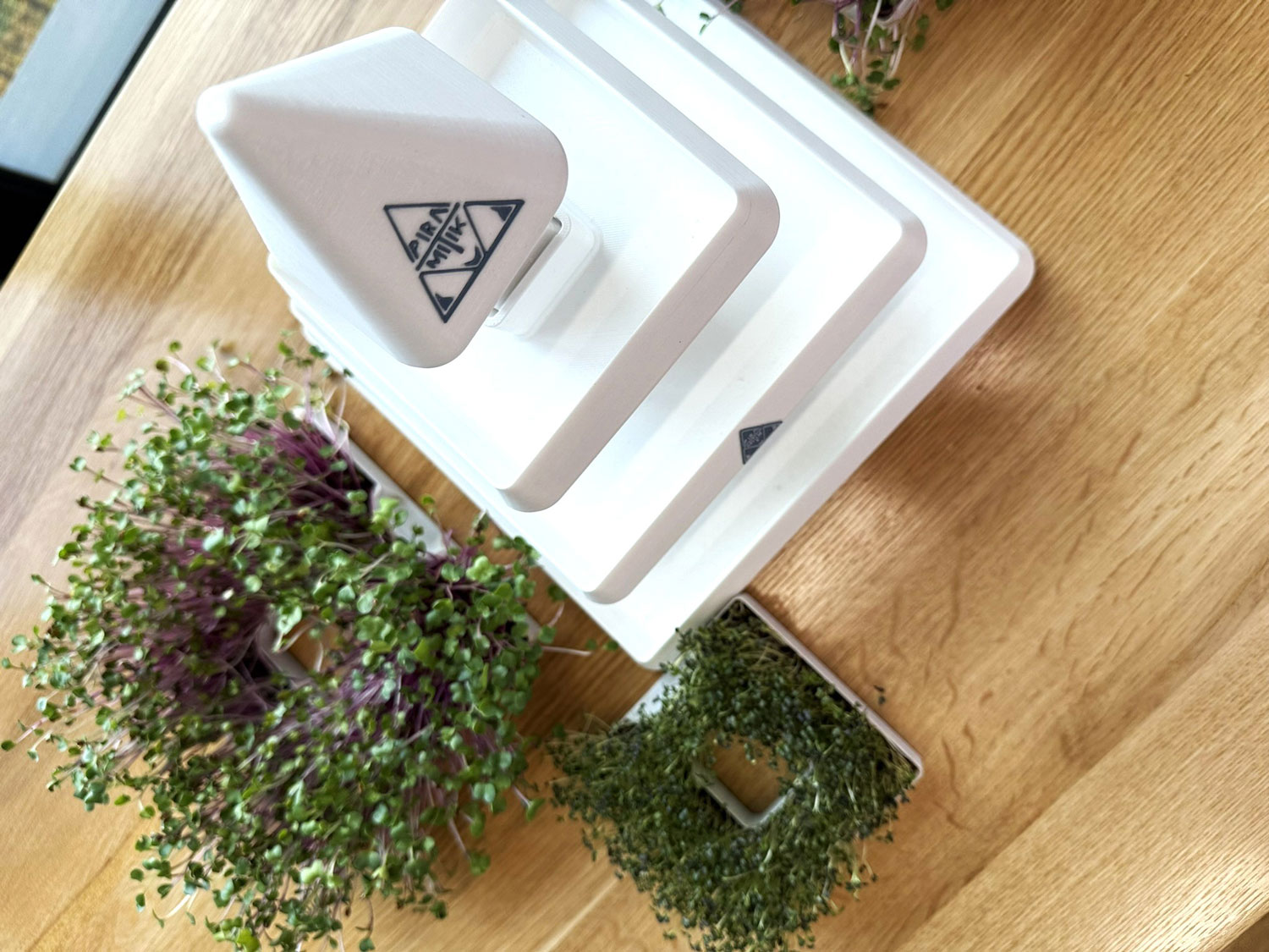 prezentare PiraMiTiK